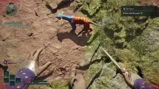 Avowed - Animal contact (xbox series x gameplay)
