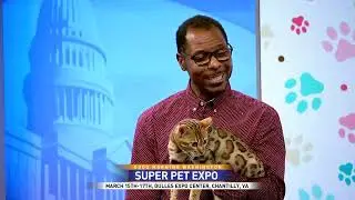 Super Pet Expo & TICA on Good Morning Washington