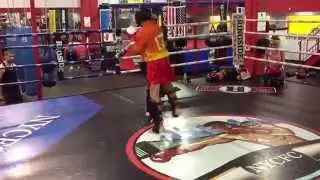 Sparring in NYC Fitness Club