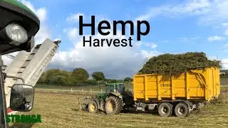 CBD Hemp Harvest | Conveyor Cutter Header | John Deere & Stronga