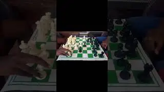 10 move check mate chess