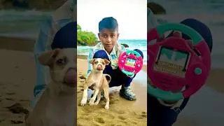 Cutest Non RC Real Dog Unboxing! 🦮