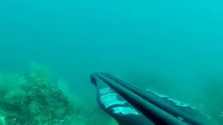 SeaHawkSub Laporta