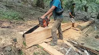dikira kayu Meranti ternyata kayu kompas