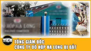 Podcast | Tổng gi&aacute;m đốc C&ocirc;ng ty Đồ hộp Hạ Long bị bắt