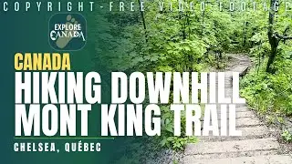 Hiking downhill Mont King | Copyright-free video anyone can use Creative Commons