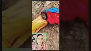 Manisha Bhiwani Case | Haryana Teacher Mystery #shorts