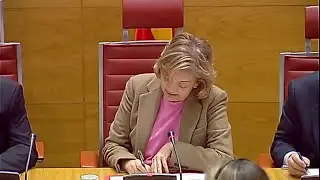 Comisión de Investigación sobre la financiación de los partidos políticos,en el senado 