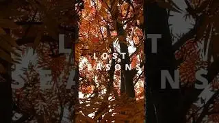 Vivaldi&rsquo;s #Autumn &mdash; hacked! #violin #electricviolin #FourSeasons #looping #classicalmusic #ableton