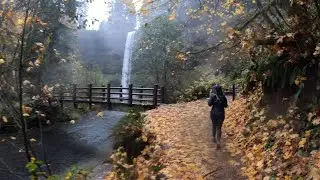 Silver Falls Trail Run 7-Miler 2025