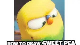 How to Draw Sweet Pea the Bird From Secret Life of Pets