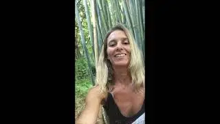 Get to Know your Bamboo Biology:  Nodes and Internodes