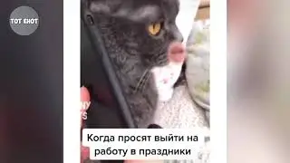 Top New Comedy Video 2021 😆🔥 | Самые смешные моменты года, подборка 😆🔥