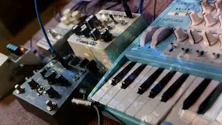 Boredbrain TRANSMUTRON with audio-rate CV modulation and Arturia Microbrute distortion