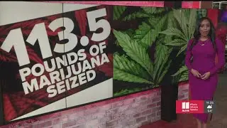 113.5 lbs of marijuana confiscated, affordable homes coming to Atlanta | News in Numbers