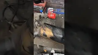 Bmw Dpf remove 2.0 ￼ diesel