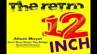 Alison Moyet - Don't Burn Down The Bridge (Extended Version)