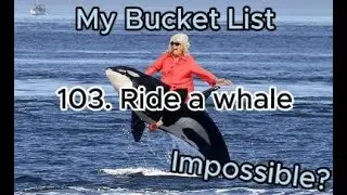 My Bucket List Channel Intro