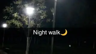 🙋&zwj;♂️ One Man Show 🙏🌸Good Night Walk🚶 Live Pune✨