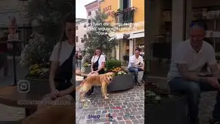 CORSO EDUCATORE CINOFILO