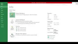 MS Excel Mark as Final Option | How to Lock Excel File