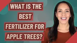 Какое удобрение лучше всего подходит для яблонь?