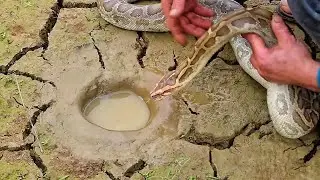 funny hand fishing video 🤌🐠 mangur fish 🐟 #fishing #shorts
