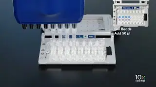 Single Cell Gene Expression LT Protocol v3.1 | Loading Chromium Next GEM Chip L