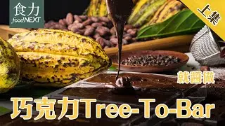 【就醬做】走進可可產地，尋覓「Tree To Bar巧克力」的風味起源！
