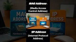 MAC Address Vs IP Address: What's the Difference?