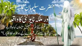 The Wild Story of King Solomon and the Ant Queen#knowledgecharagh #goldenwords #aqwalezareen #Allah 