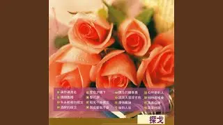 酒醉的探戈
