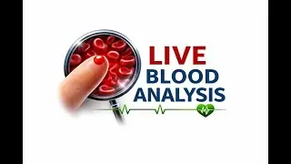 Live Blood Analysis  Visual Health Insight