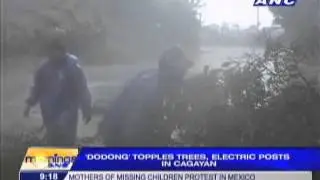 'Dodong' topples trees, electric posts in Cagayan