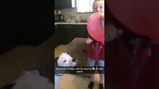 My dog is satisfyd🤣❤️