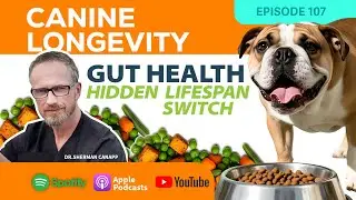 Canine Longevity 107