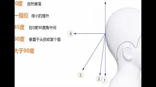 08 Understanding Angles in Haircutting | 理发中的角度理解
