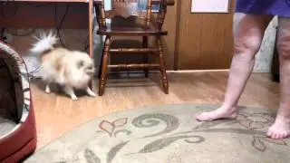 VID 20141207 205301