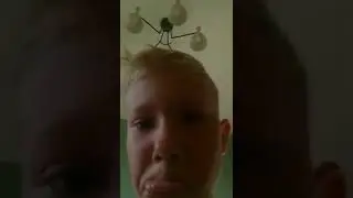 Мой братик - блогер