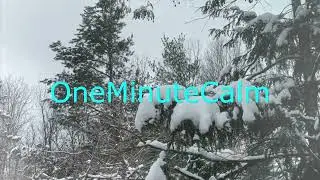 One Minute Calm | Calming Snow - 10  | Mindful 1 Minute Meditation