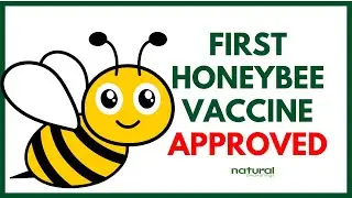 First Honeybee Vaccine Approved