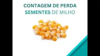 Corn seed control