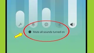 Fix Mute All Sounds Turned On In Samsung Galaxy Phone