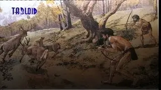 Tigullio, la civiltà preistorica al Musel