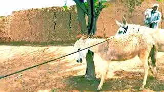 part of 8 to my channel vlog