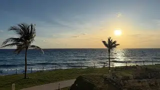 Cousins Wedding Vlog