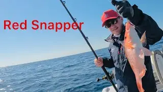 Fishing with Pensacola Florida Friends and Christian From South Africa 