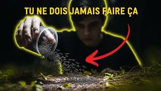Pourquoi Il Ne Faut Jamais Rel&acirc;cher Ses Fourmis Dans la Nature (Documentaire Animalier)