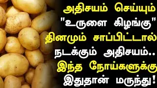 உருளை கிழங்கு மருத்துவ நன்மைகள்! | Sweet Potato Side Effects in Tamil| Potato Health Tips in Tamil 