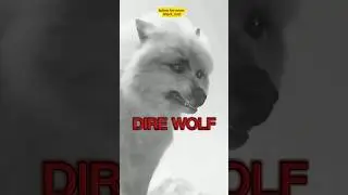 DIRE WOLF RECREATION FACTS. #shorts #youtubeshorts #facts #trendingshorts #animal